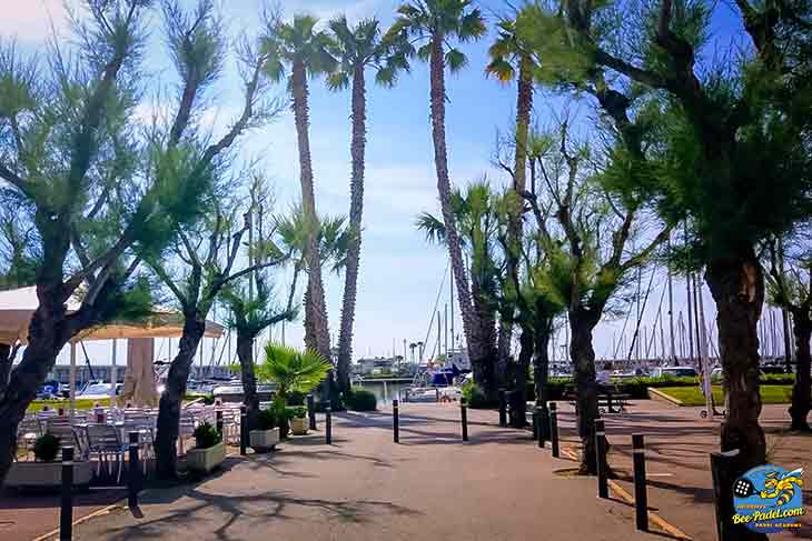 Harbour Walk & Marina at Hotel Atenea Port Mataró | Perfect for Padel Training Guests Scenic harbour view at Hotel Atenea Port Mataró with walking road, shops, bars, restaurants, and beautiful yachts
