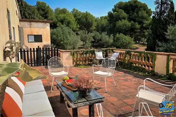 View from a room at Masia Can Casadellà showing terrace, olive grove, and cypress tree surroundings